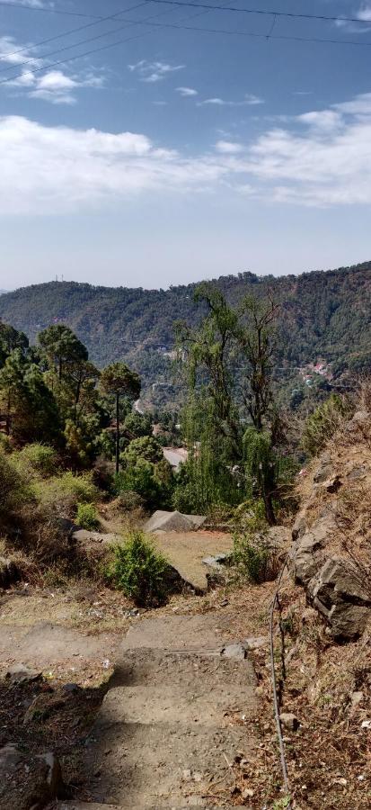 2Bhk Furnished Apartment/Near Kasauli/Barog/Luv Fun & Adventure Solan Exterior photo