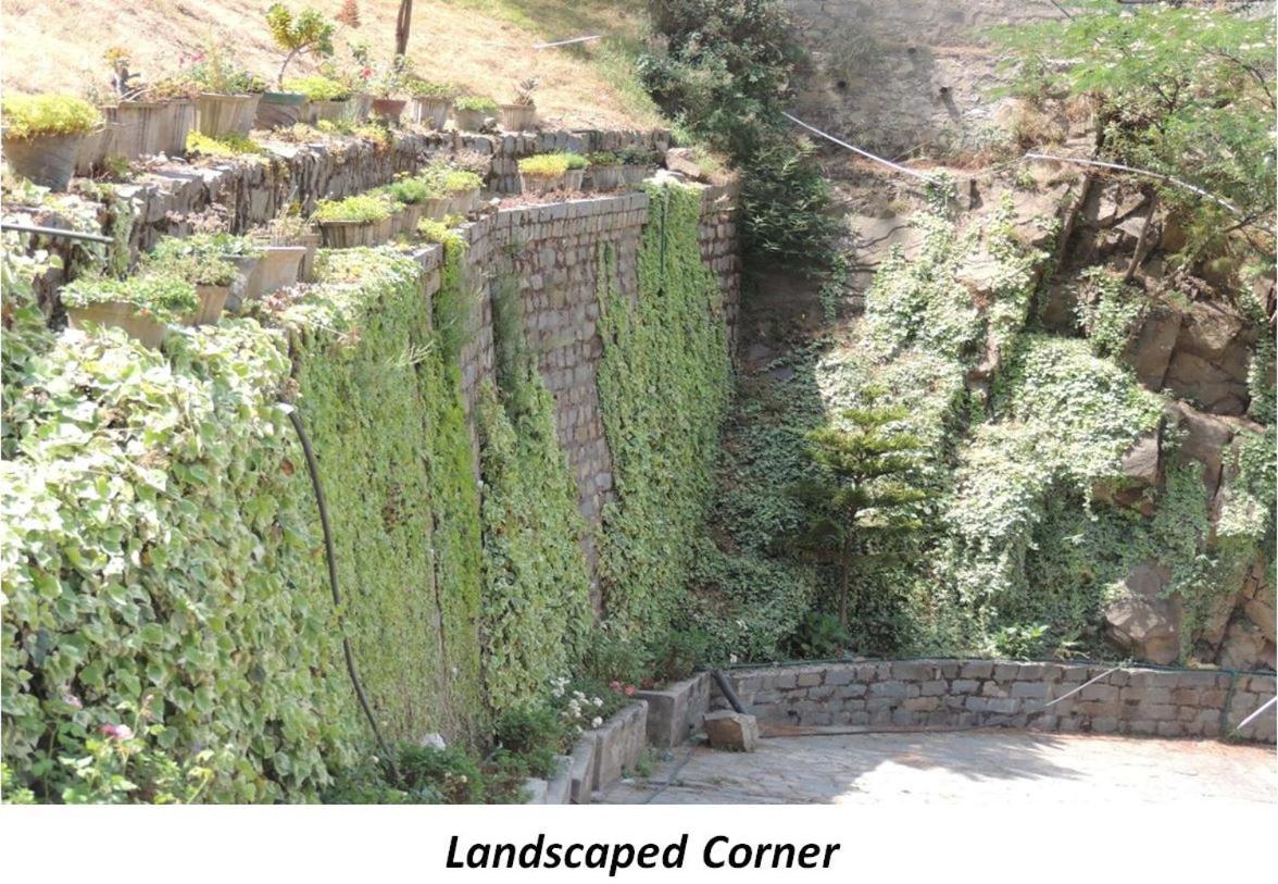 2Bhk Furnished Apartment/Near Kasauli/Barog/Luv Fun & Adventure Solan Exterior photo